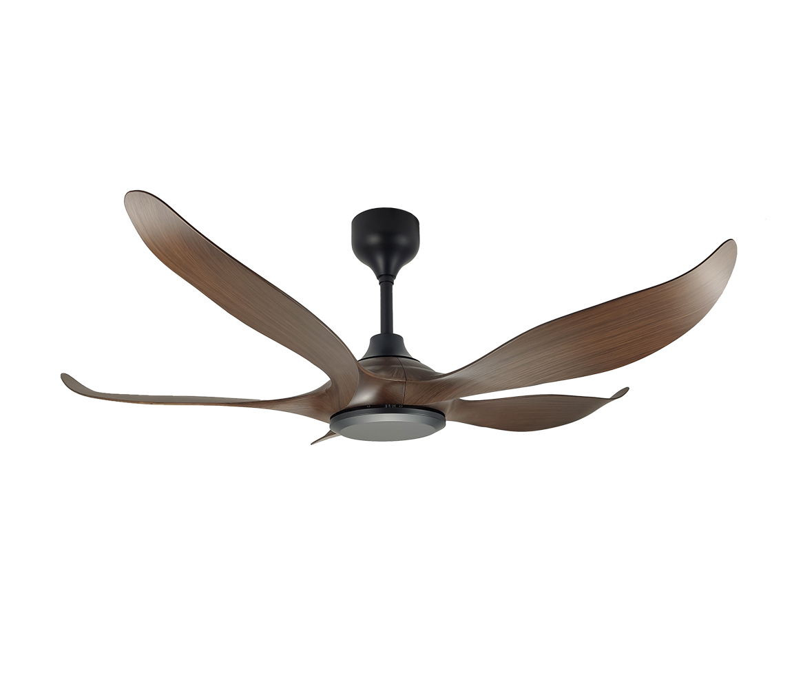 FS Series



FS 525N