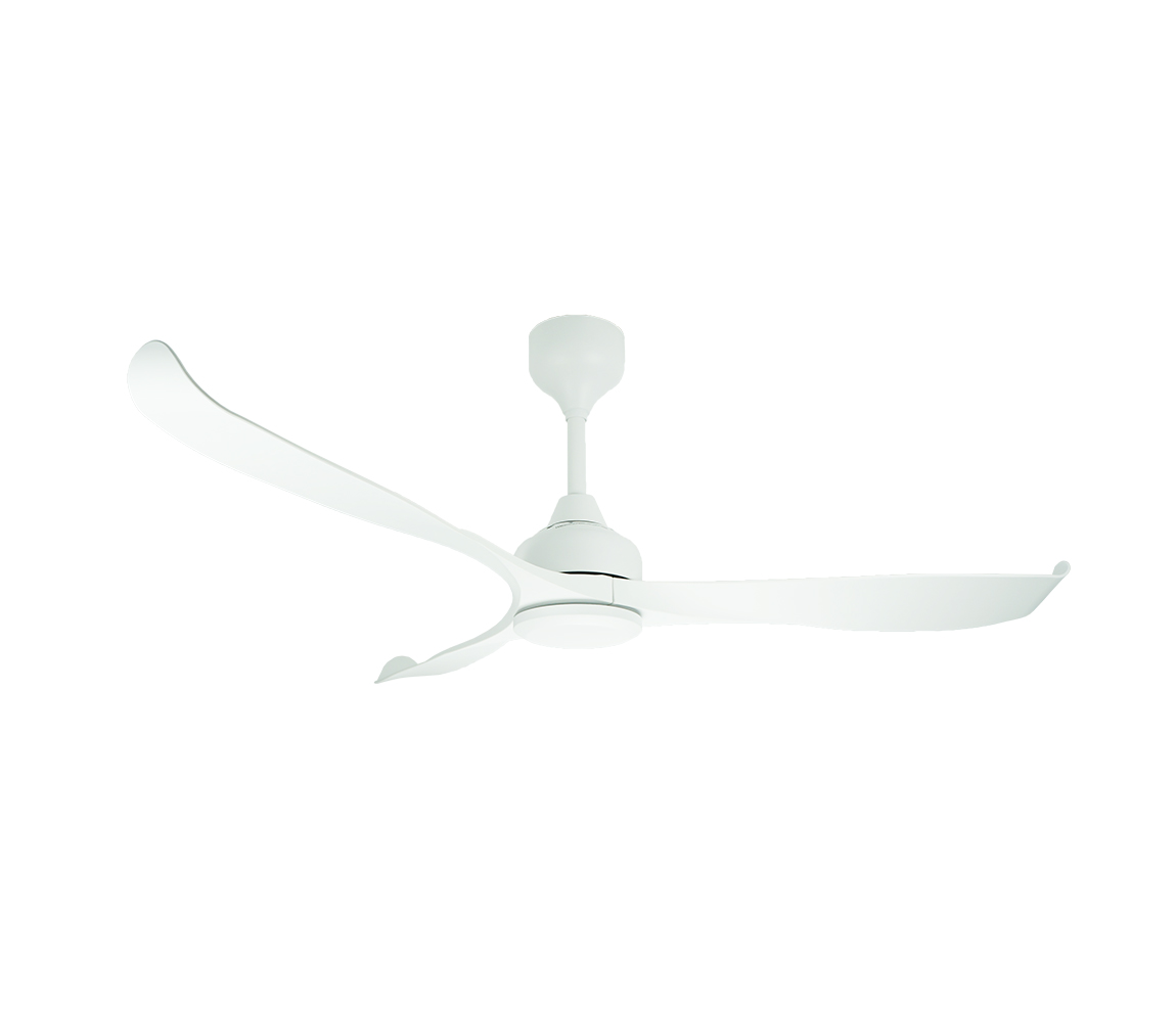 FS Series



FS 563N