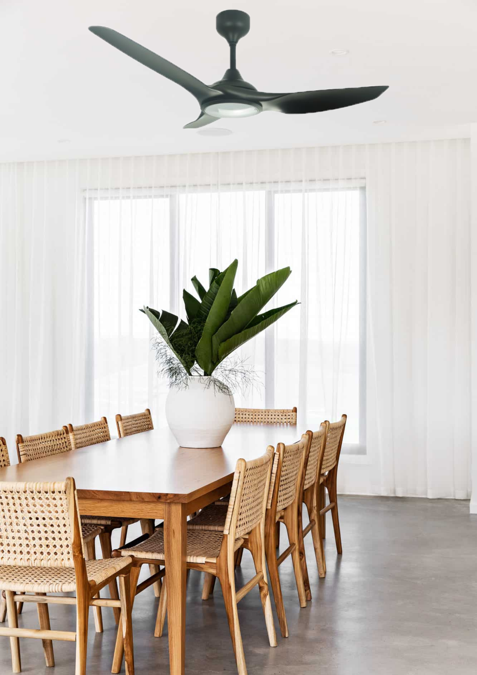 Untitled design (33)