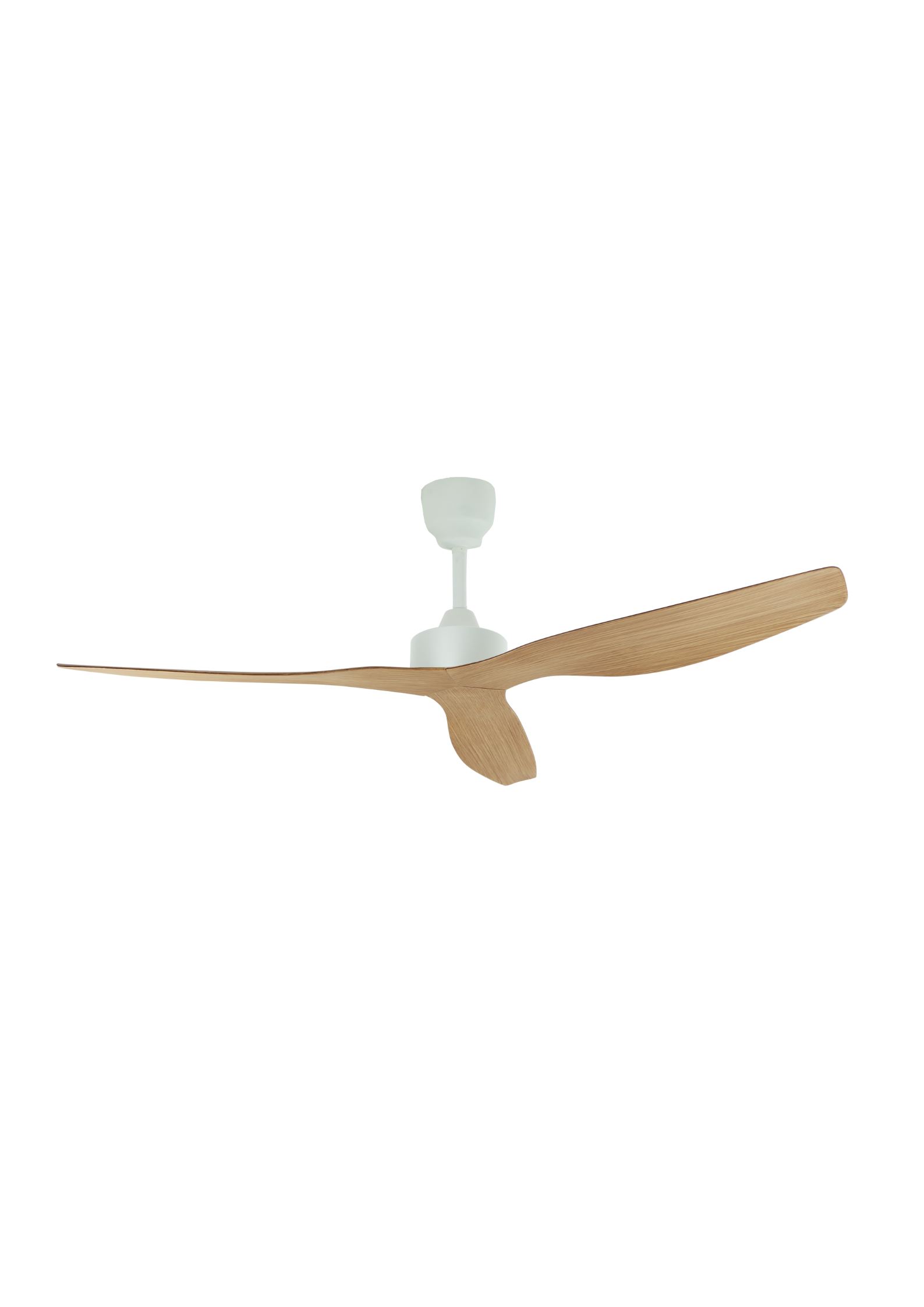 Untitled design (41)