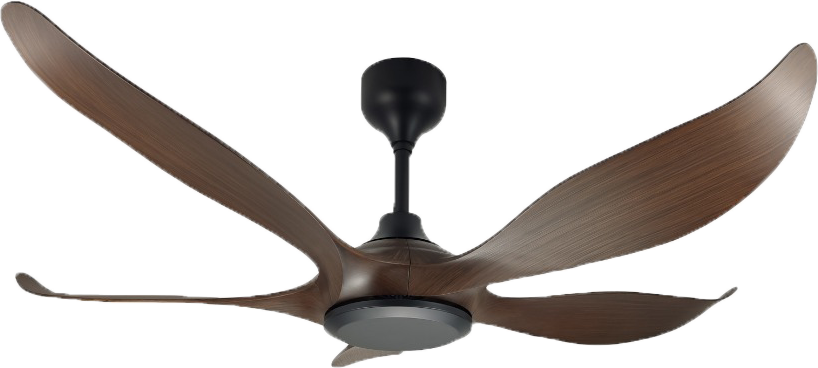 FS Series 525 N



ABS Blade Ceiling Fan