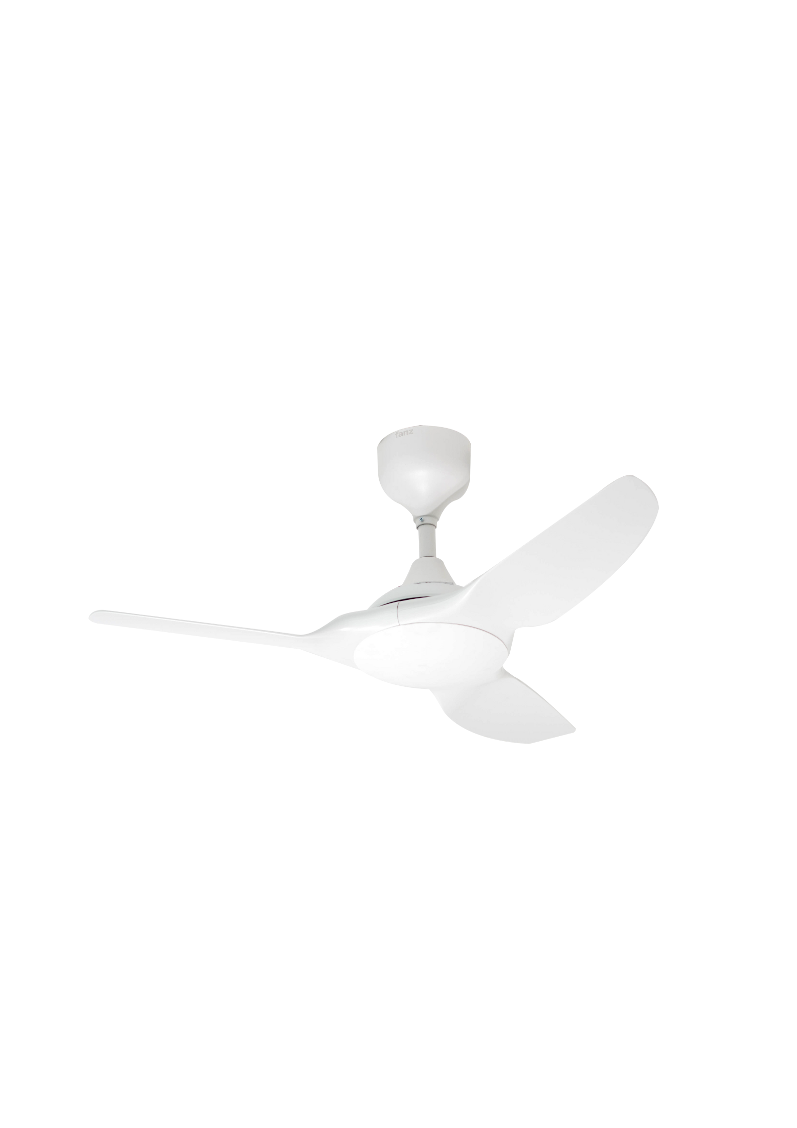 Untitled design (66)