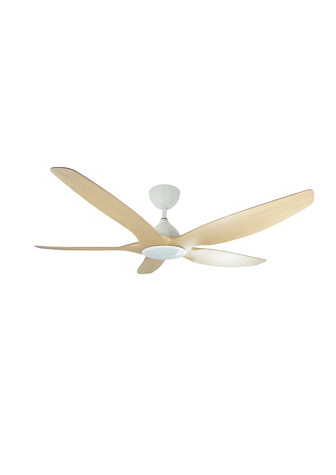 Untitled design (79)