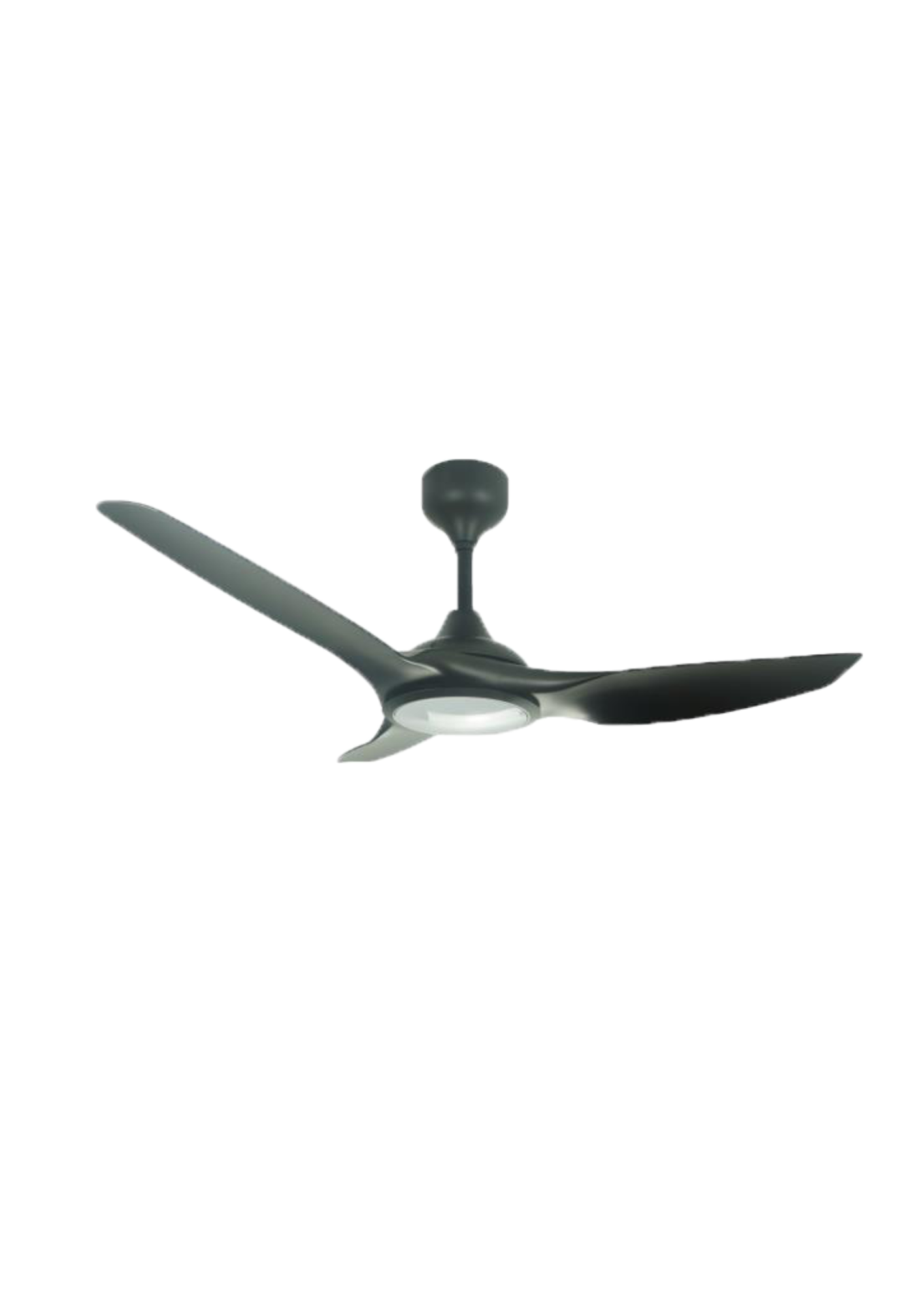 Untitled design (82)